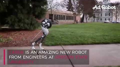 Cassie the Robot learns to walk!
