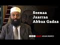 Jaarraa Abbaa Gadaa Qabsoo Hidhannoo ABO Keessatti Akkamiin Yaadatamu BBC News Afaan Oromoo