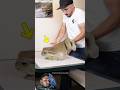 This Frog Is A Celebrity😘#viral #shorts #frog #amazingfacts #amazing #love