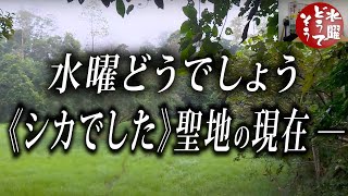 水曜どうでしょう地獄のジャングルの現在の姿…《ブンブン聖地巡礼》