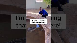 Mom Touches Alligator On Head For Mother’s Day! #shorts #alligator