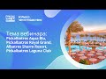 Aqua Blu, Pickalbatros Royal Grand, Albatros Sharm Resort, Pickalbatros Laguna Club. Шарм-эль-Шейх