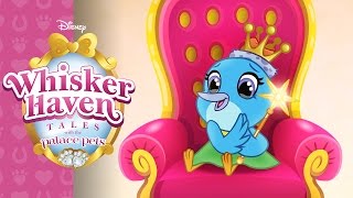 Whoop Dee Doo | Whisker Haven Tales with the Palace Pets | Disney Junior