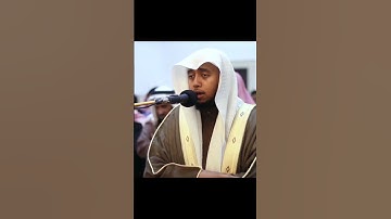القارئ حسن نائب