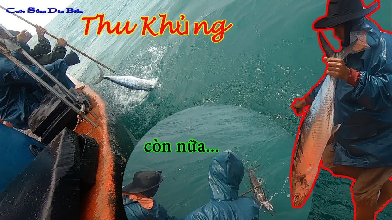 CÂU CÁ BIỂN ĐÔNG 8│Kéo Câu Gặp Đám Cá CỜ,Cá THU.Vừa... - youtube