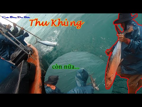 Video CÂU CÁ BIỂN ĐÔNG 8│Kéo Câu Gặp Đám Cá CỜ,Cá THU.Vừa... - youtube
