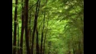 Imagine - Pan Pipes Flute - John Lennon