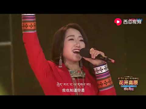 《冬天里的一把火》香巴拉组合