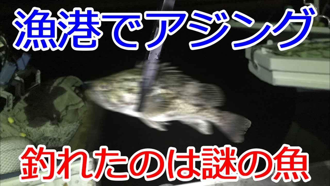 エリアトラウト スプーン ルアー紹介 カラーローテンションや重さの使い分けをご紹介 Youtube