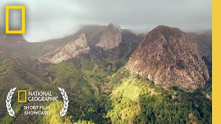 Ecotone | Short Film Showcase | National Geographic