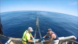 Flathead fishing in the South East Trawl Fishery- Danish Seining