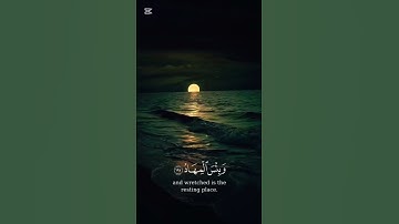لا يَغرنكَ تَقَلب الذِينَ كَفرُوا في الْبِلاد | القارئ ماهر المعيقلي سورة ال عمران كروما آيات قرانيه
