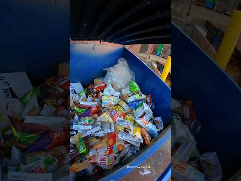 UNCUT Dumpster Diving For 100s Of Pounds Of Food!