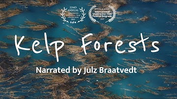 Kelp Forests: The Sequoias of the Sea