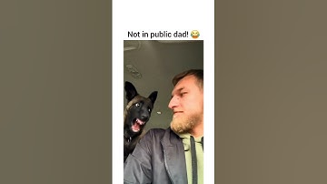 Thumbnail of This Puppy Hates Kisses #malinois