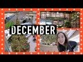 It&#39;s the Most Wonderful Time of the Year! | JOANDAY #27