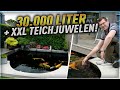 30000 liter koiteich und teichjuwelen xxl aufzucht