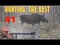 Hunting. The Best. Охота на лося, кабана и косулю. Лучшее. #01