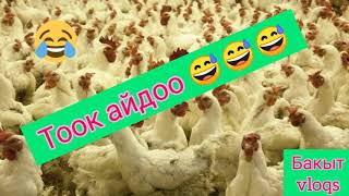 ПРАНК - Жамаля  "Тоок айдоо" 🐔🐓🐔🐓🐔💰💰💰⏲️😄😄😄