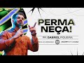 Permanea  pr gabriel figueira