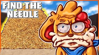 FIND THE NEEDLE IN THE HAYSTACK.....  [FIND THE NEEDLE]