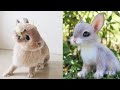 Кролики - смешные и милые зайчики🐰🐰. Видео Подборка #2