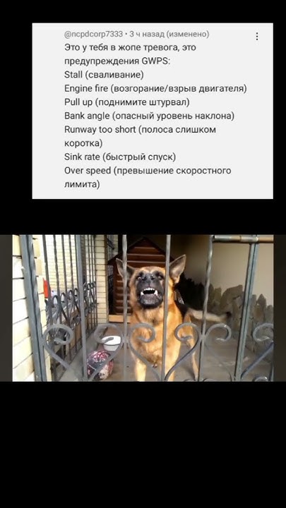 душная обиженка переобулась - YouTube