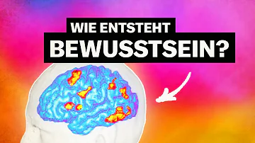 Was versteht man unter dem Begriff Bewusstsein?