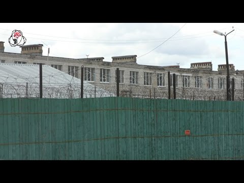 Заключенные ИК-8 Ярославской области рассказали о зверских избиениях