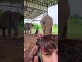 SPIEGATEMI IL MOTIVO!!🤔💫🐘