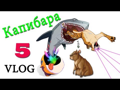 Видео: ч.05 (VLOG) Прогулки с Миникотиком - Капибара о_0