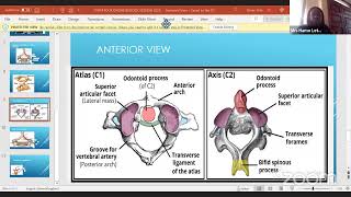 Form 4 2023 bonding - Biology - Support and Movement by Madam Fridah Hamo, Alliance High School screenshot 3