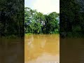 Gin River Flooding @ Nagoda