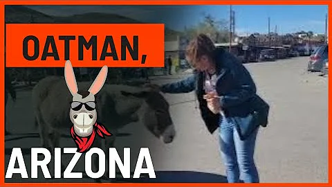 Oatman, Arizona Historic Route 66 / Wild Burros