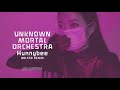 Unknown Mortal Orchestra - Hunnybee (Baltra Remix) (Official Audio)