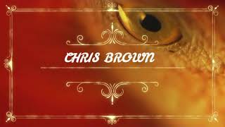 Chris Brown- undecided (lyrics video)