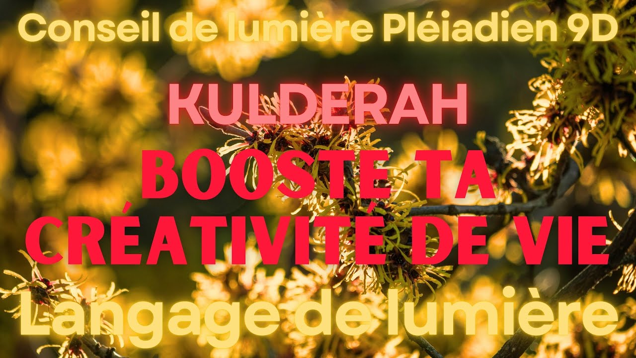 Booste ta créativité de vie I Conseil de Lumière Pléiadien 9D l Langage de lumière l Activation ADN