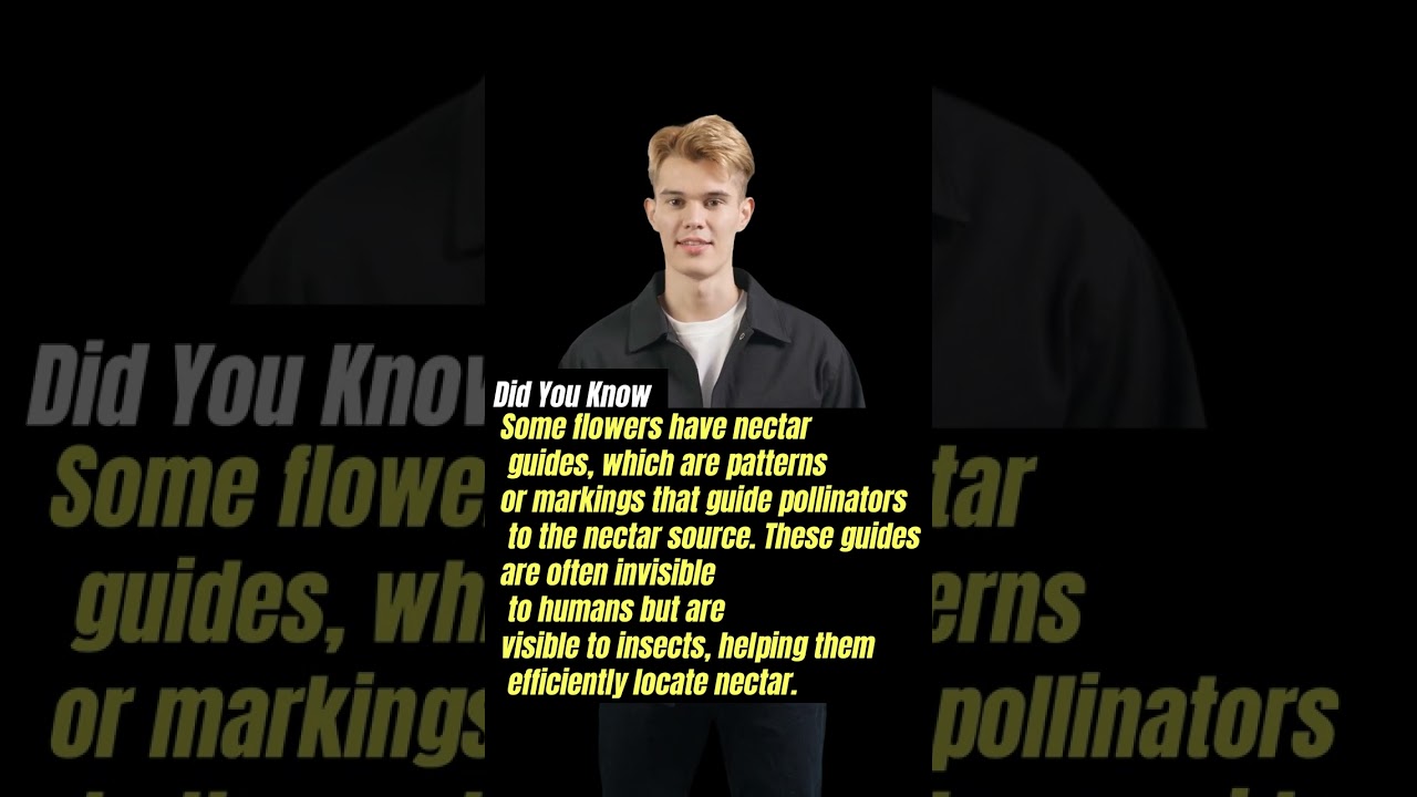 did you know Nectar Guides