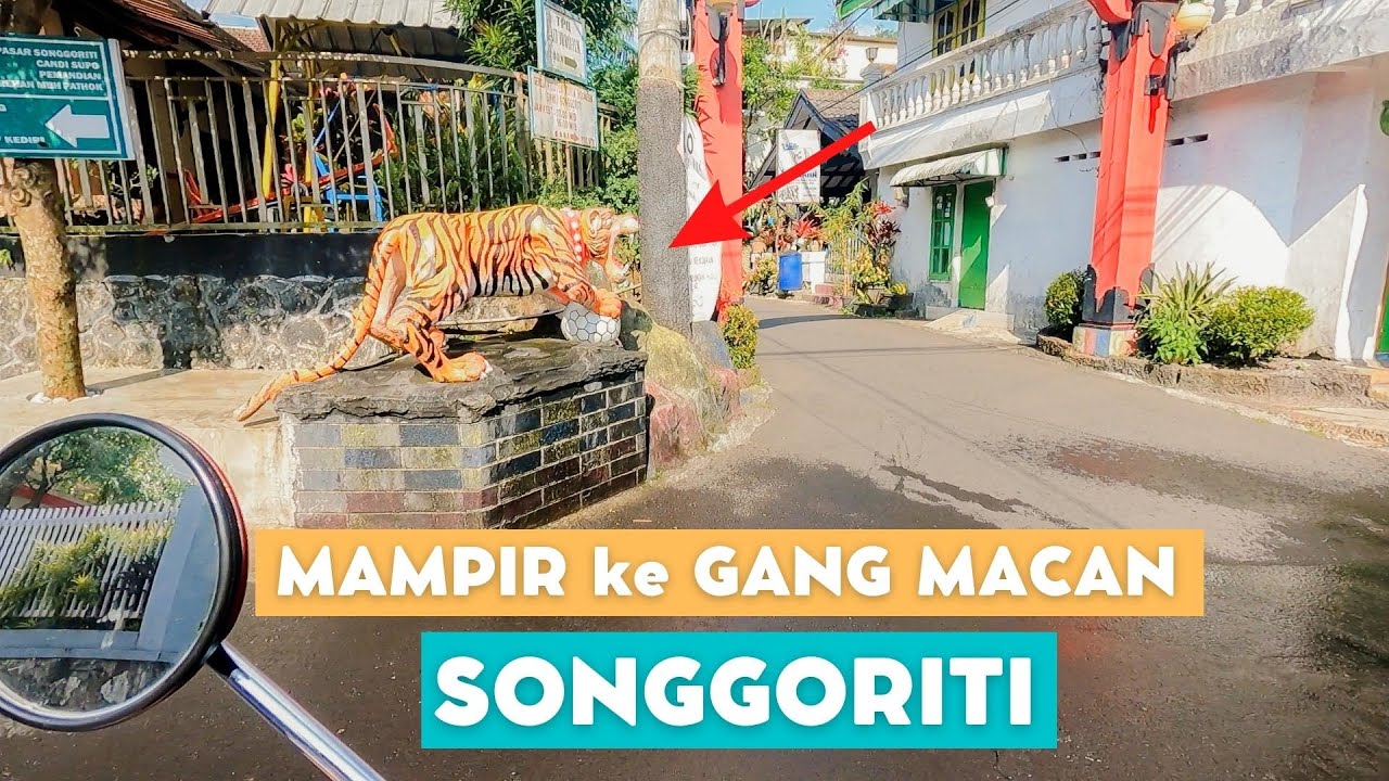 MAMPIR KE GANG MACAN SONGGORITI !!!