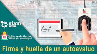 3.2 Firma Y Huella De Autoavaluo De Forma Digital, Pu, Hr, Ddjj.