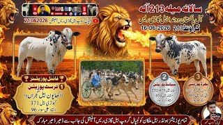 16 June 2026 | District Faisalabad Donda Donda Bull Cart Race 213 | Complete Video Rounds 2 to 7