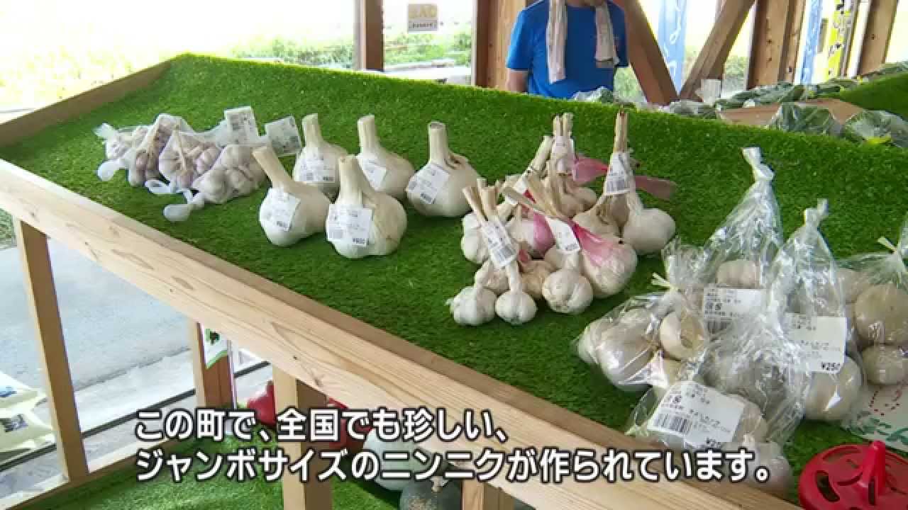 ジャンボなニンニクで阿蘇を元気に！ ～南小国町の農業集団「百姓