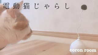 【猫のおもちゃ】便利でおしゃれ！電動猫じゃらしバルーン pidan