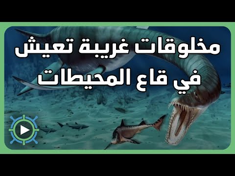 فيديو: كيف يتكون قاع البحر؟