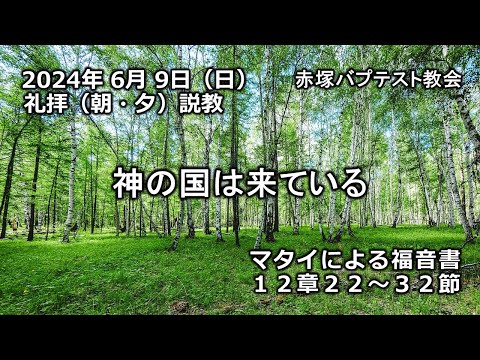 「神の国は来ている」マタイによる福音書12章22～32節　2024/06/09 SUN. 赤塚教会礼拝説教