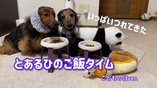 ダックスフンドのるのんとかるむ、ある日のご飯タイム