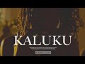 Kaluku asake x shallipopi amapiano type beat  afrobeat instrumental 2023