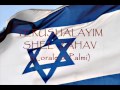 Yerushalayim shel zahav - Corale di Palmi