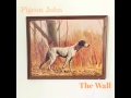 PIGEON JOHN - THE WALL