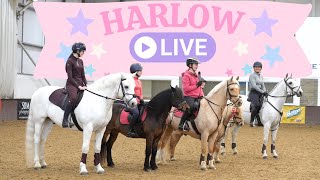 Download Lagu HARLOW LIVE! 2 DAY LIVE TOUR WITH 5 OF MY PONIES! MP3